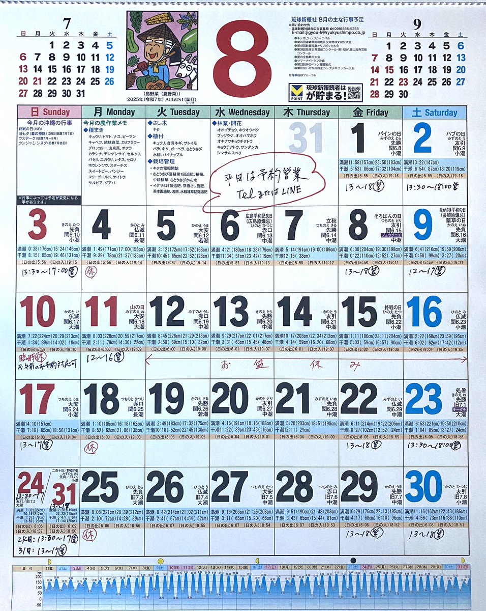 沖縄三線 数回使用美品 オマケ多数 沖縄 三線 メーカー 沖縄三線 数回使用美品 オマケ多数(三線