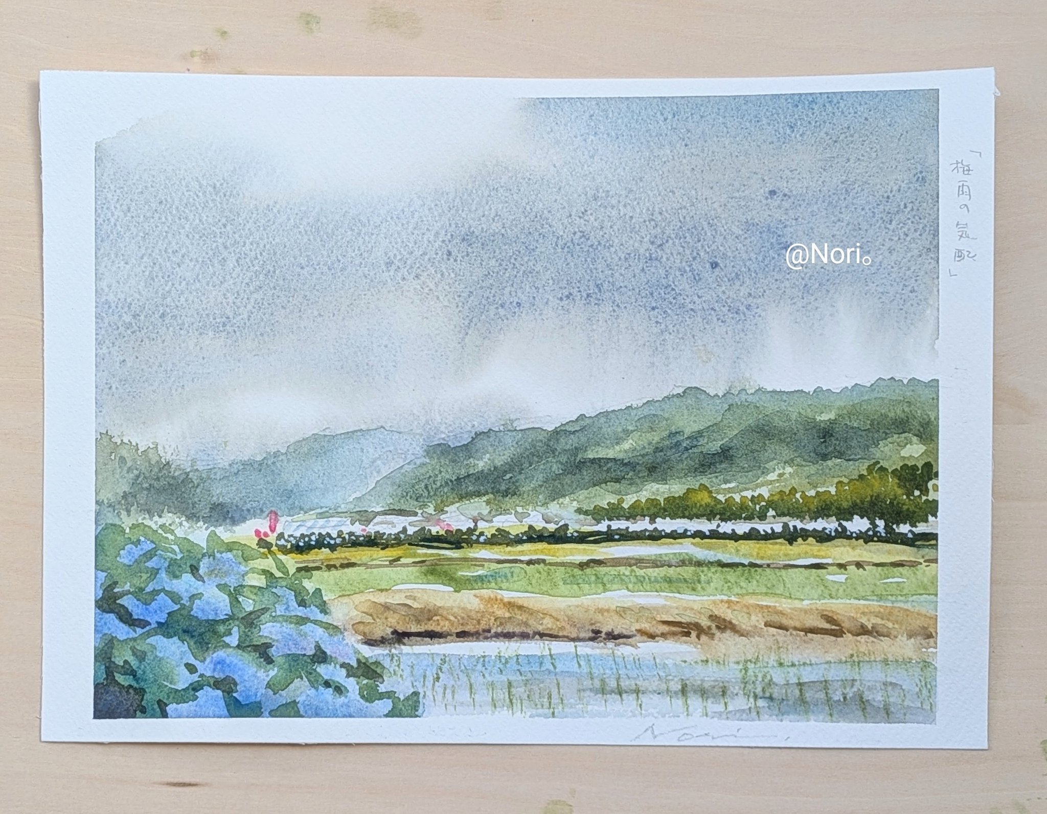 F.NERI 水彩画 Nori。 on X: 