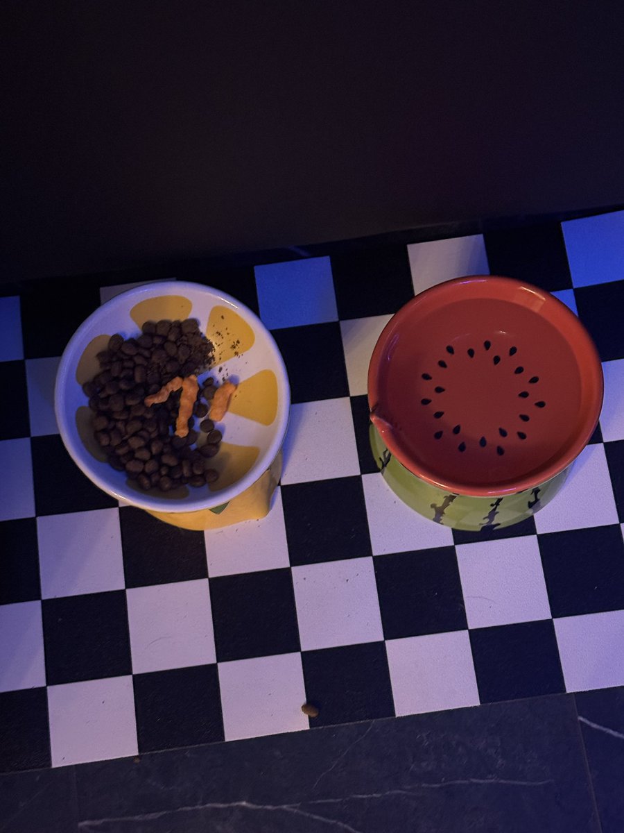 its me. honeypaws. tweet media