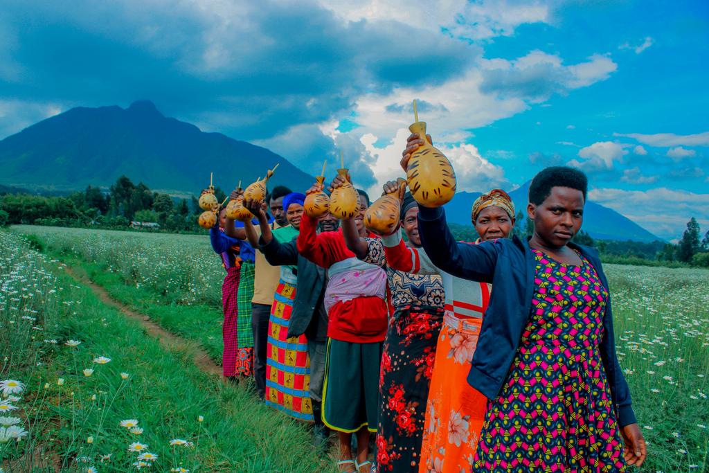 Celebrate Umuganura at <a href="/GasuraBTV/">Gasura Best Tourism Village</a> Best Tourism Village , a unique Rwandan cultural experience full of unity, gratitude, and joy.

Be part of the tradition ,don’t just hear about it! 

#umuganura2025 #UmucoNyarwanda #GasuraBTV