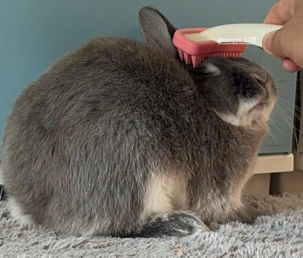 マッサージ‧⁺◟︎( ᵒ̴̶̷̥́ ·̫ ᵒ̴̶̷̣̥̀ )