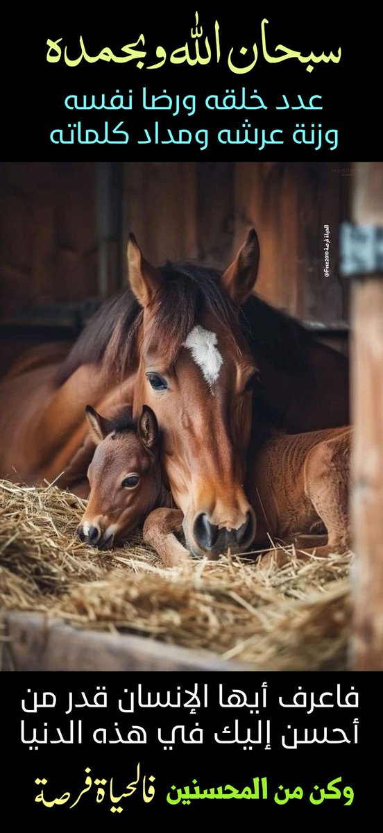 محمد بن علي (@mohad_17) on Twitter photo 