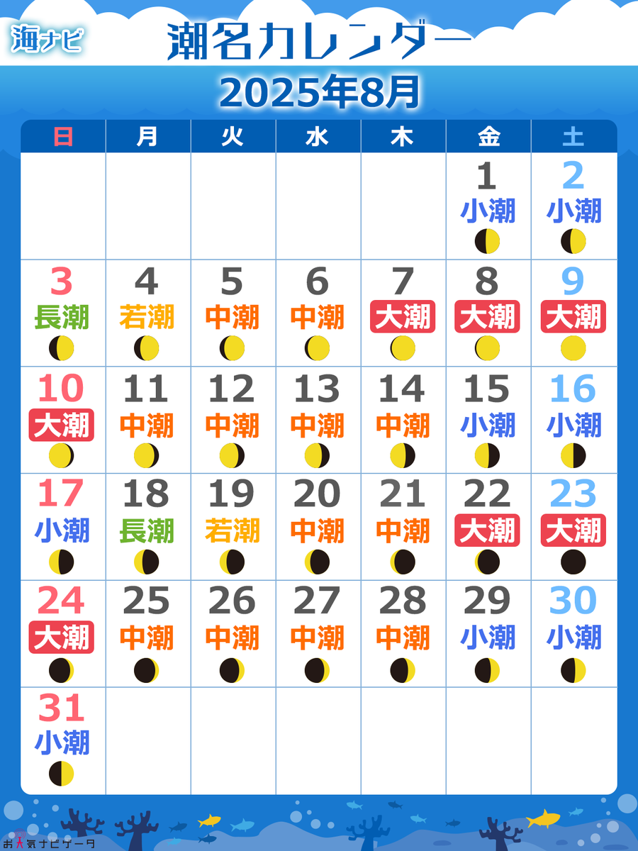 🌊8月の #潮汐カレンダー📅/／ きょうから8月スタート🌊 限られた時間