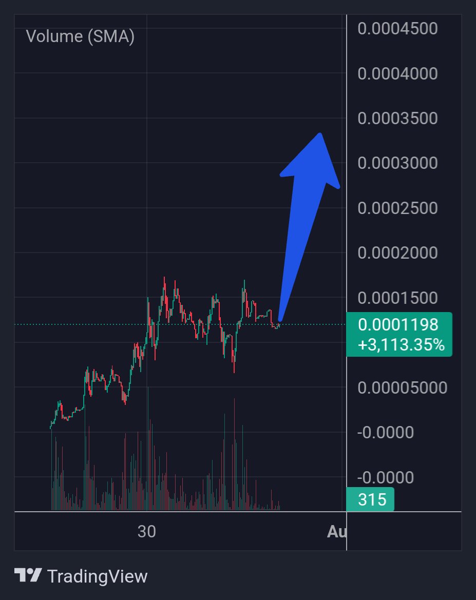 #BASEDMARIE will go up again soon. 💹🚀

0x0983e421e35a880090fa1fd99a7aeefc62a3254d