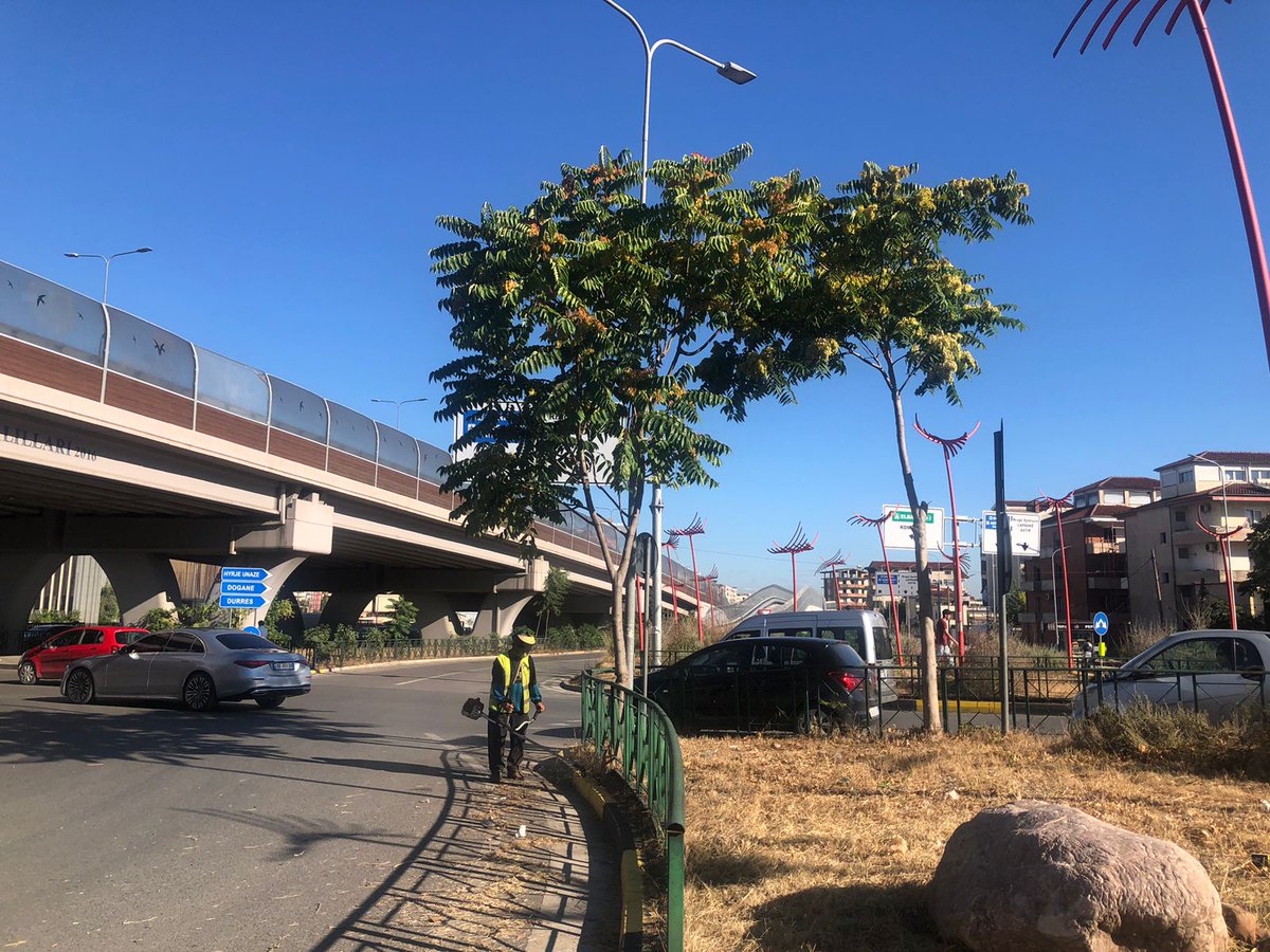 Punëtorët e Qytetit - Bashkia Tiranë (@punetorettirane) on Twitter photo Rrethrrotullimi te "Fabrika Miellit ", është një ndër hyrjet 📍kryesore të Tiranës, një nga pikat kyçe📌 që ka vazhdimisht vëmendjen👀 tonë, sa i pëket pastrimit dhe gjelbërimit .🧹🌿 #DrejtoriaePërgjithshmeePastrimGjelbërimit <a href="/liriqoshi/">liri qoshi</a> Rrethrrotullimi te "Fabrika Miellit ", është një ndër hyrjet 📍kryesore të Tiranës, një nga pikat kyçe📌 që ka vazhdimisht vëmendjen👀 tonë, sa i pëket pastrimit dhe gjelbërimit .🧹🌿 #DrejtoriaePërgjithshmeePastrimGjelbërimit <a href="/liriqoshi/">liri qoshi</a>