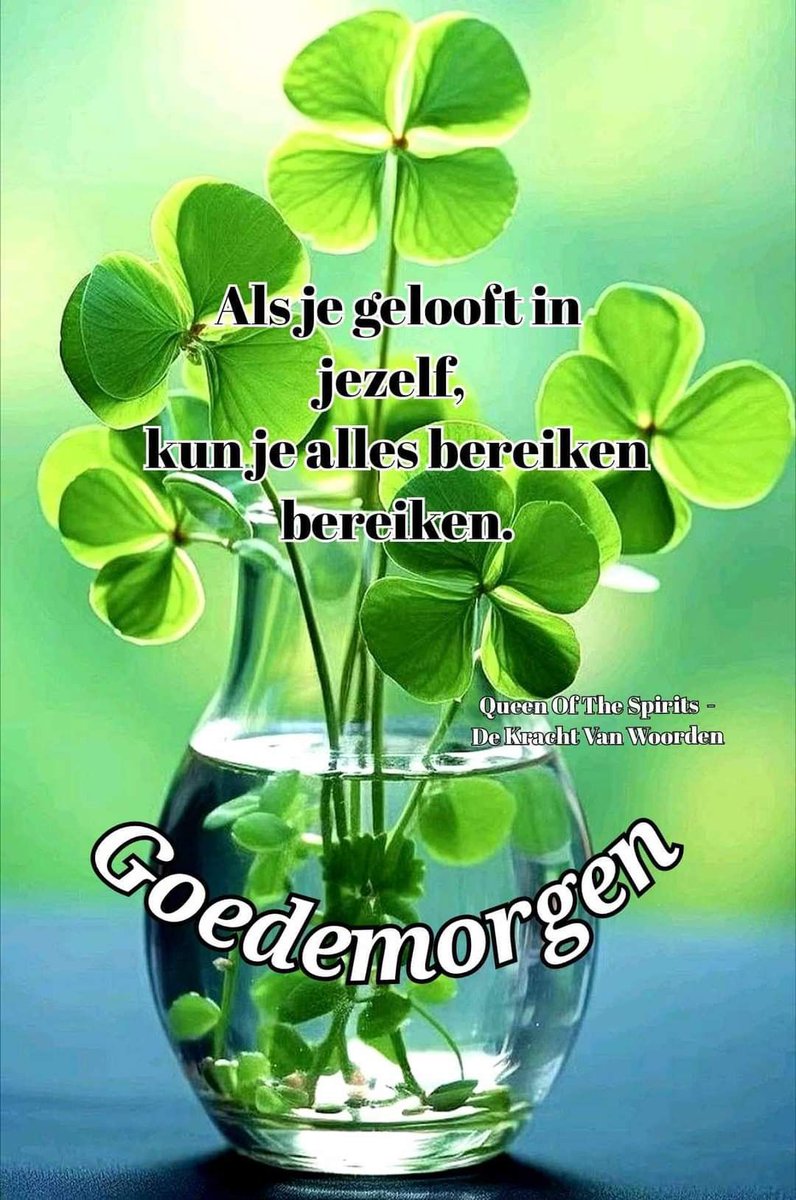 Goeiemorgen ☕ lieve volgers 🍀 Vandaag geen weer 🌥️🌦️☔
Er zijn vast andere dingen die we binnen kunnen doen ✨