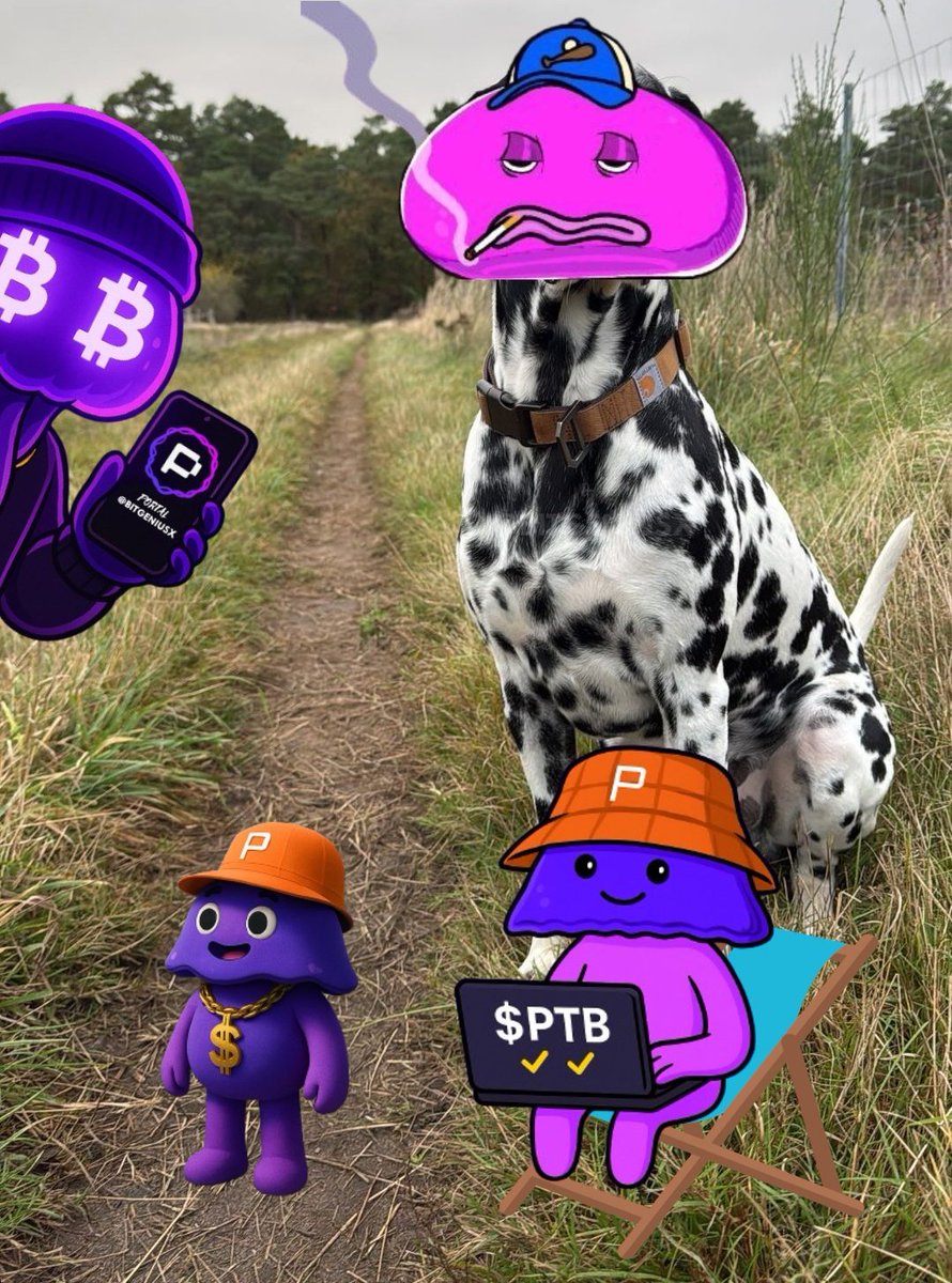 BITGENIUSX tweet media