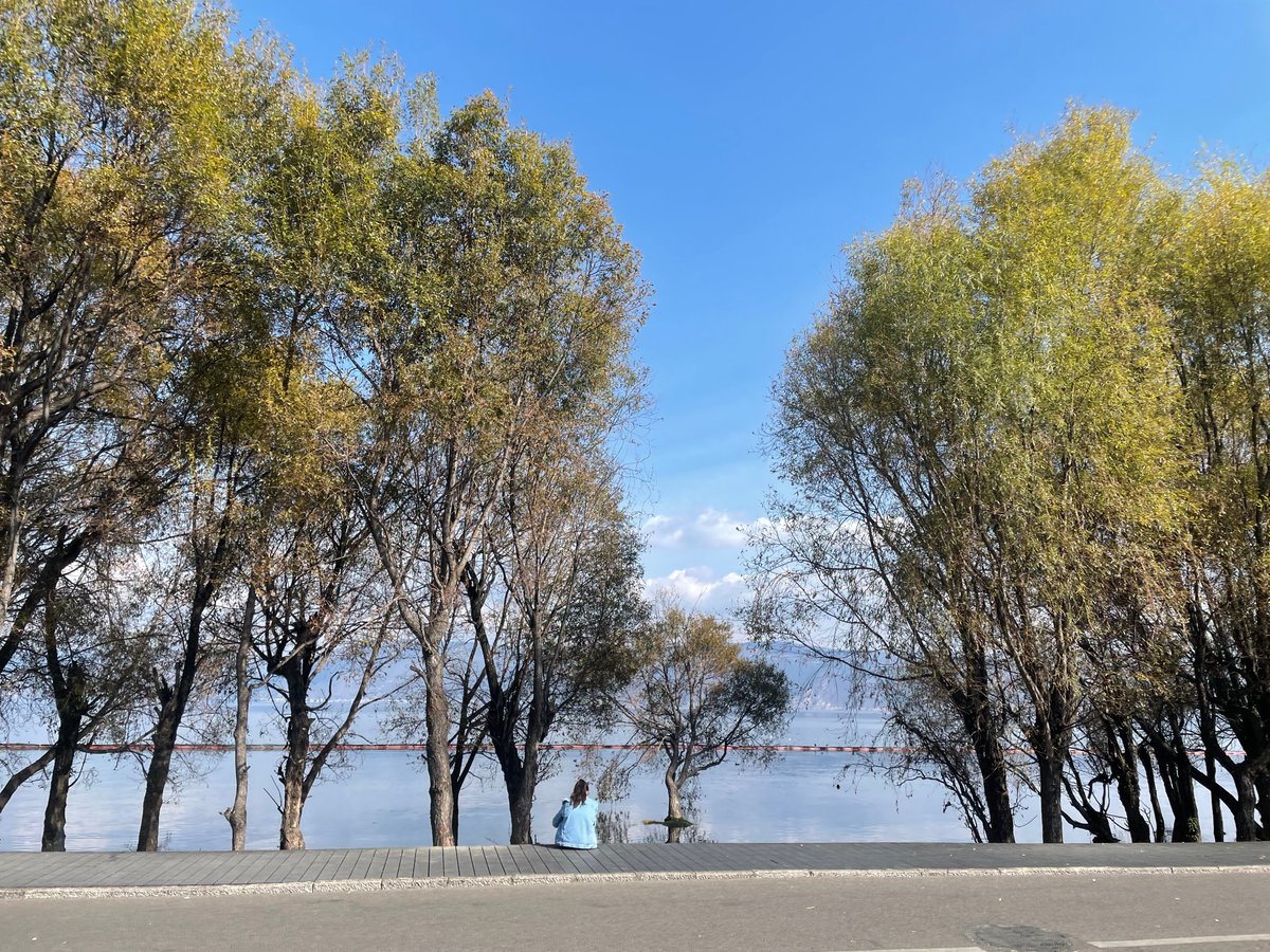 True sportsmanship means supporting your team and respecting the opposition.🔛🕎ℹ😁♏