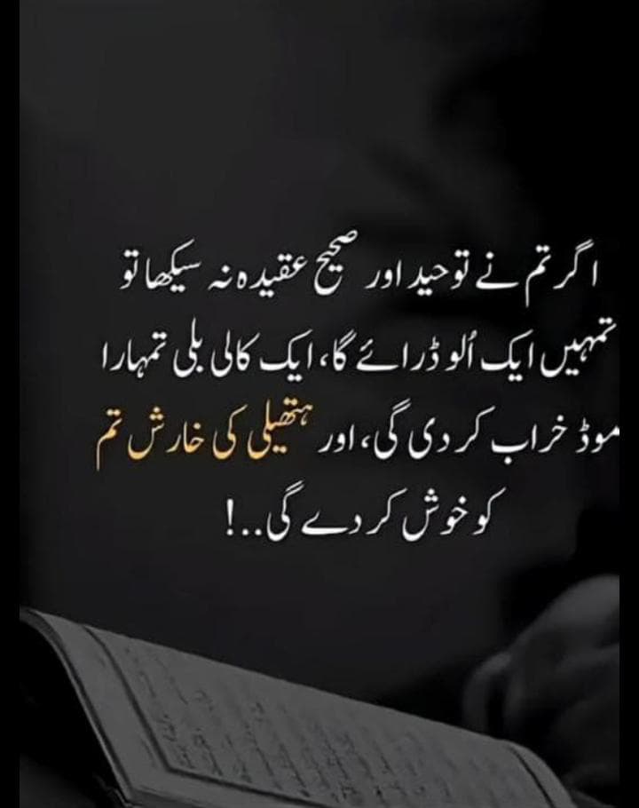 🌹*السلام وعلیکم*🌹

🥀*دن بخیر*🥀