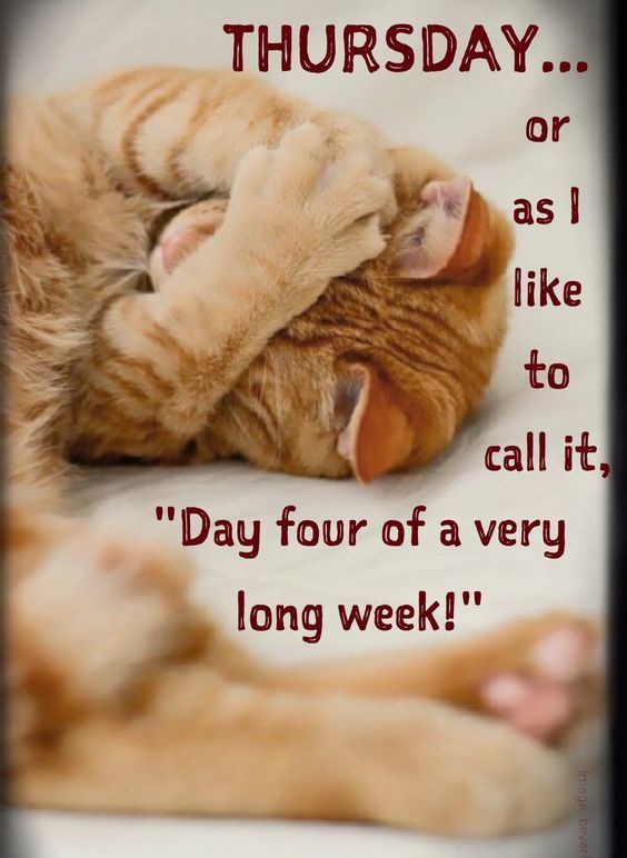 Good morning everyone ☕ ☀️ 🌸 🫶🏻