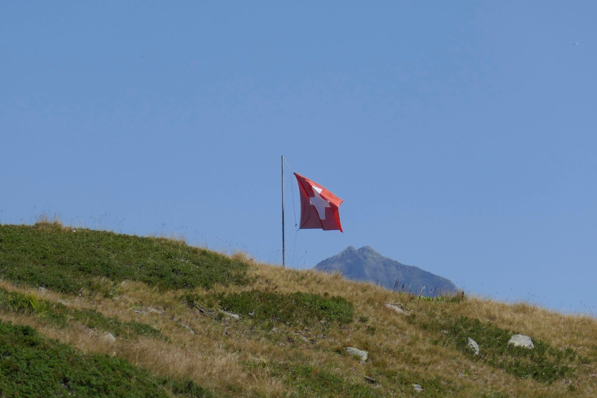Un #primoagosto instabile ma probabilmente solo circa 1/4 del #Ticino sarà toccato dai rovesci o temporali. La bilancia pesa quindi a favore delle manifestazioni. Ma non dimenticate un piano B ☂️ e siate coscienti che può andare male ⛈. 

Buona #FestaNazionale 🇨🇭 a tutti.