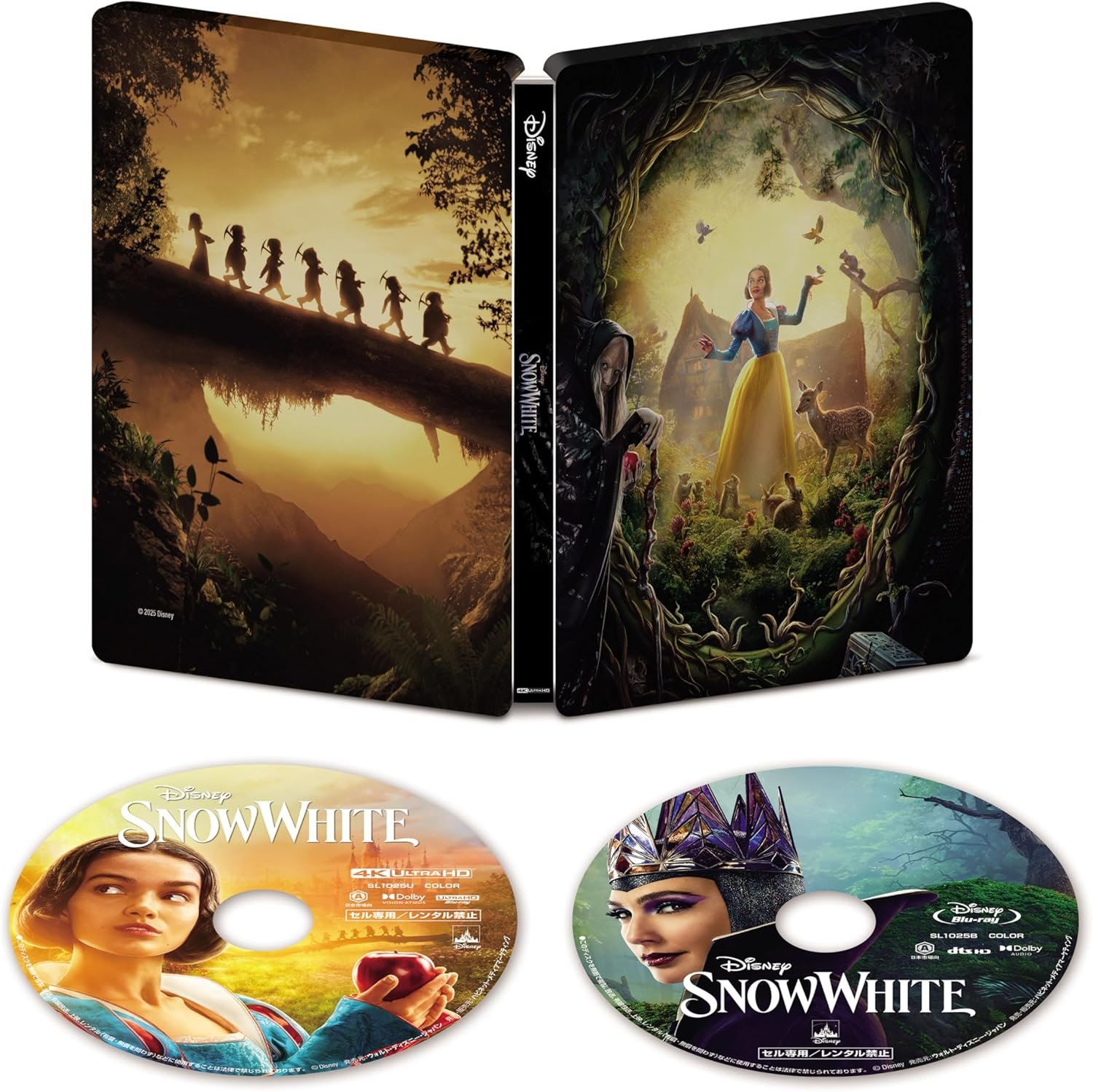 白夜姫 DVD-BOX7 ggw725x 白夜姫 DVD-BOX7 ggw725x