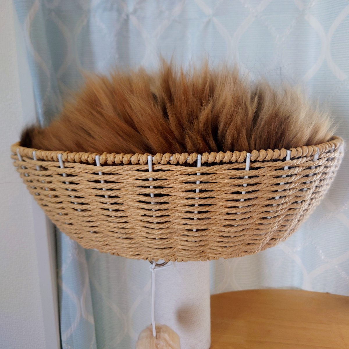 一応メルちゃんだよ