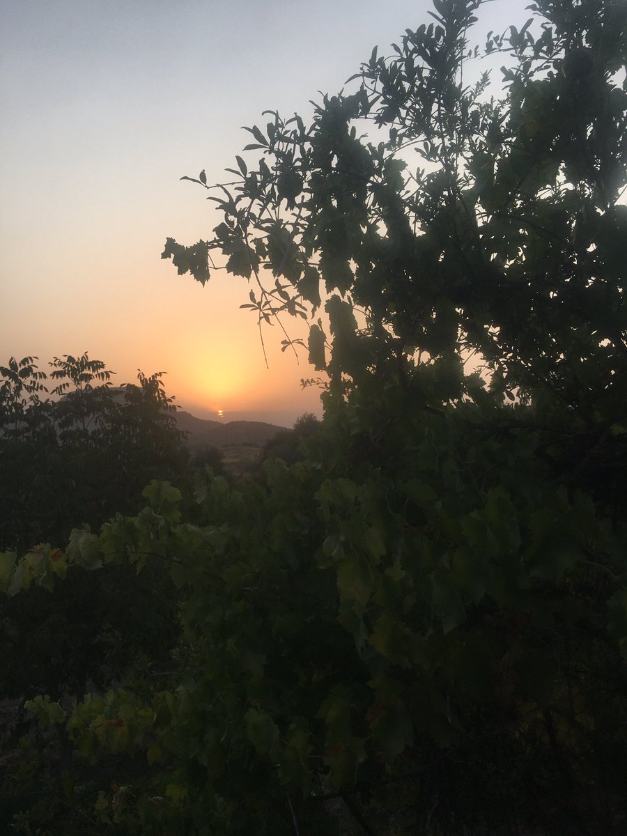 En sevdiğim yere geri geldim 🫶🍇🌶🍅☀️