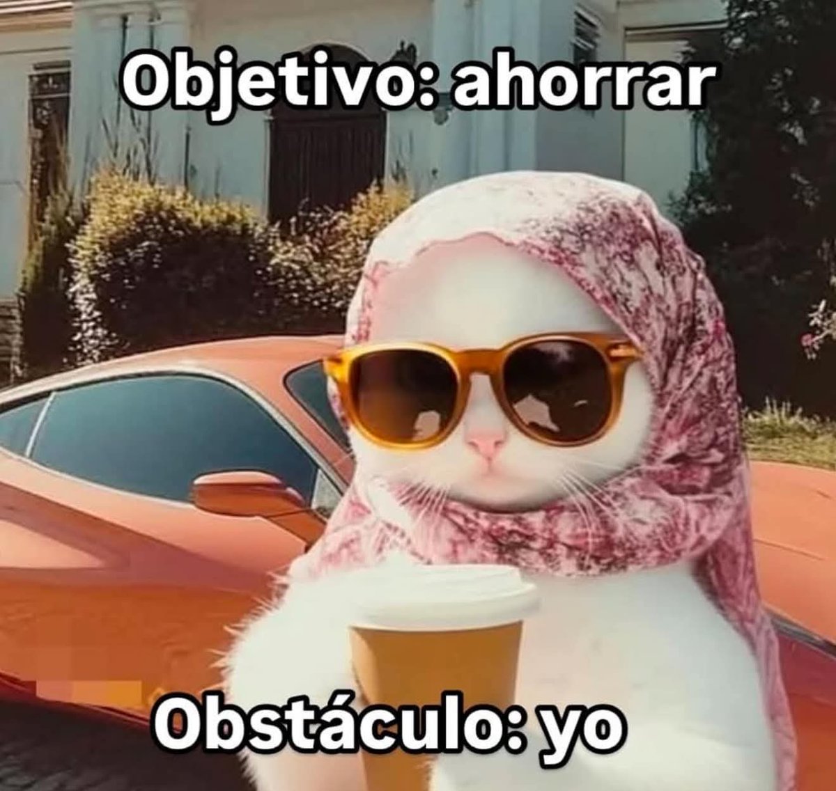 En Júpiter (@en_jupiter_) on Twitter photo 