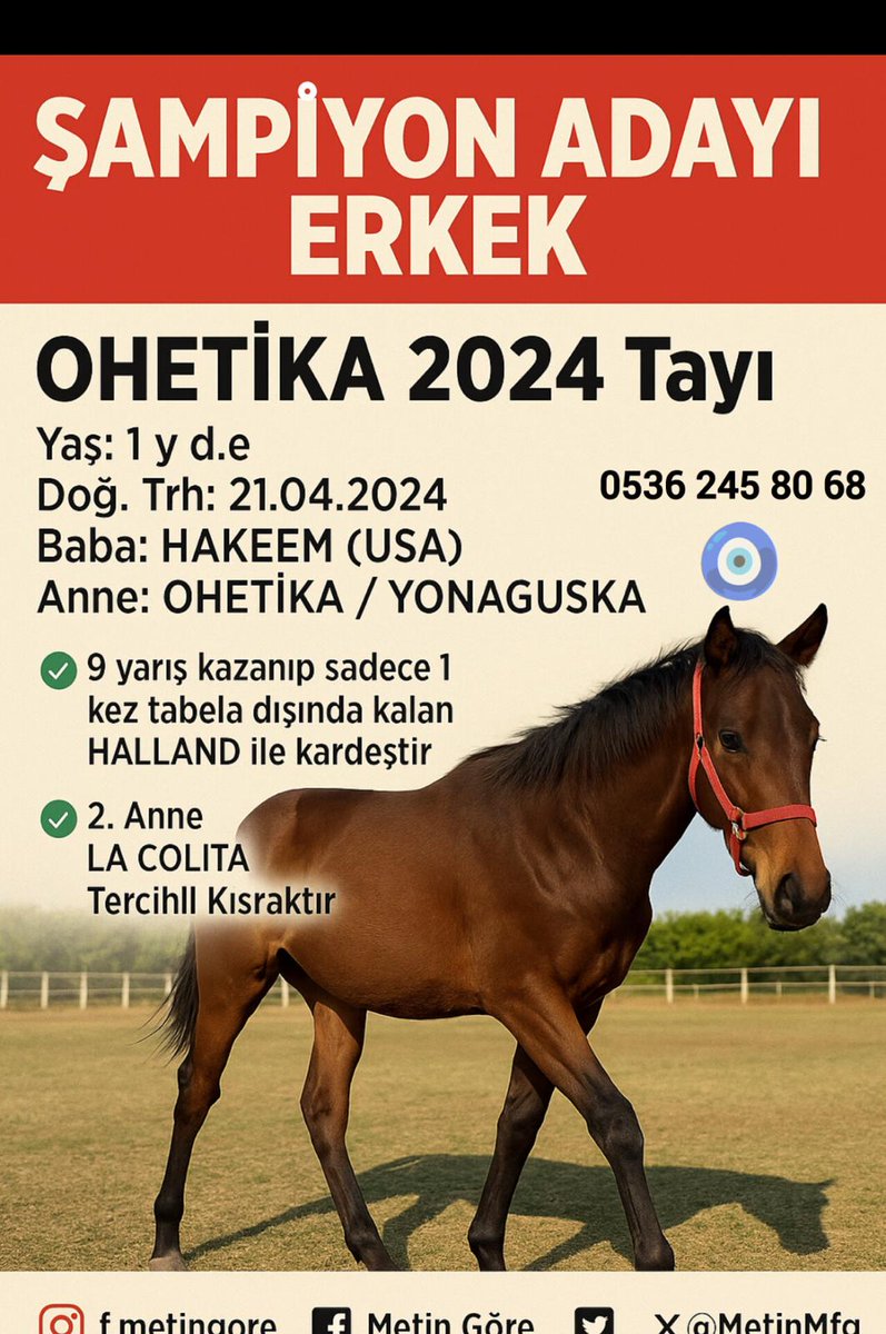 Metin F.Göre (At alım satım) (@metinmfg) on Twitter photo Erkek #Hakeem tayı anne #Ohetika kısrak babası #Yonaguska ²ci anne #TercihliKısrak tır, tayımız #Halland ile kardeş <a href="/varmitalip/">varmitalipcomtr</a> <a href="/taneralperoz/">Taner Alperöz</a> <a href="/AkagacYalcin/">Yalçın AKAĞAÇ</a> <a href="/AtcilikKtp/">Atçılık Kütüphanesi</a> <a href="/AVEOTO/">Mustafa AYDIN</a> Erkek #Hakeem tayı anne #Ohetika kısrak babası #Yonaguska ²ci anne #TercihliKısrak tır, tayımız #Halland ile kardeş <a href="/varmitalip/">varmitalipcomtr</a> <a href="/taneralperoz/">Taner Alperöz</a> <a href="/AkagacYalcin/">Yalçın AKAĞAÇ</a> <a href="/AtcilikKtp/">Atçılık Kütüphanesi</a> <a href="/AVEOTO/">Mustafa AYDIN</a>