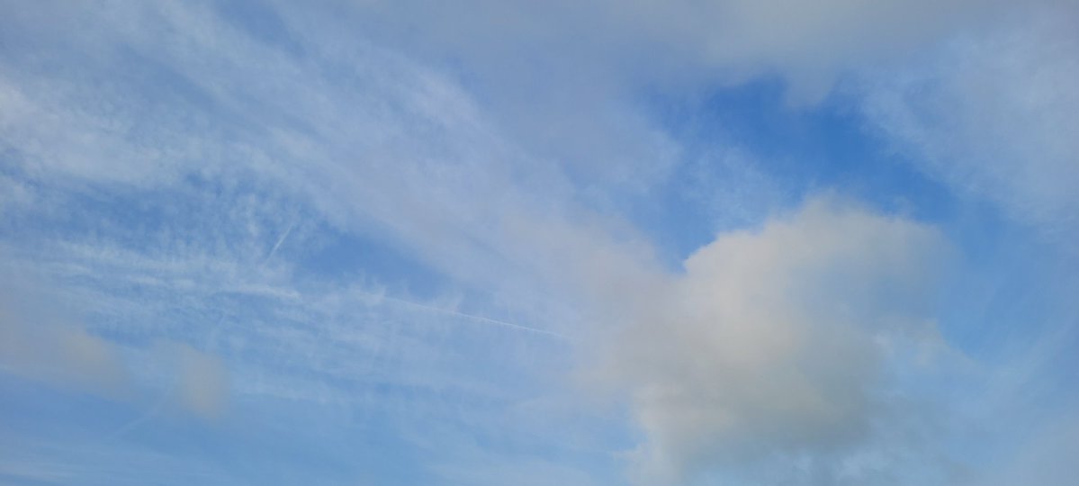 Another day of spray in the UK. Sunrise blocked to East and West already full of toxic trails from the airline traitors and their puppet scumpilots. #pilotlife #traitors