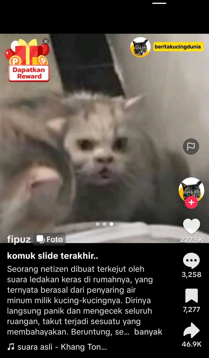 senior minul tweet media