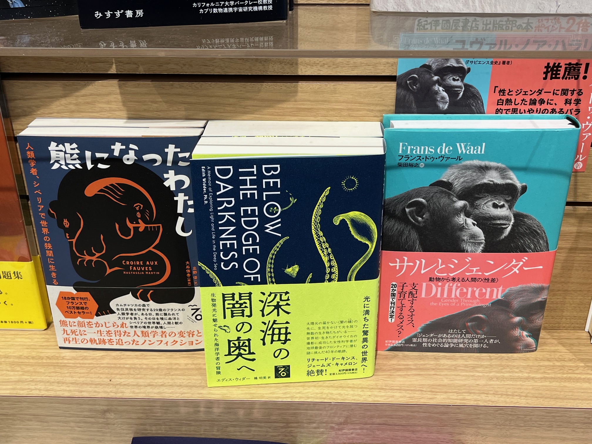 『人類創世』プレミアム・エディション DVD★紀伊国屋書店 宇宙船 vol．187 - 紀伊國屋書店ウェブストア｜オンライン