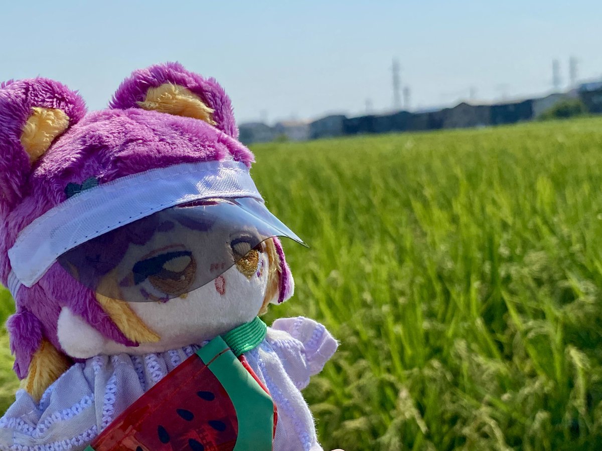 さんちゃ🍑 (@3san_cha3) / X