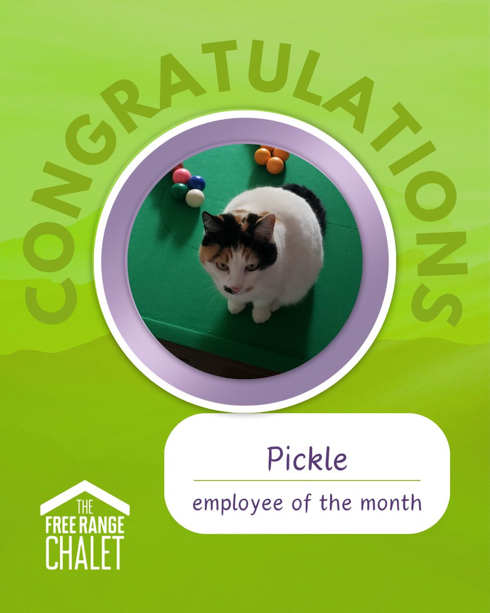 EMPLOYEE OF THE MONTH

Goodness, where did July go?

Pickle picks up this months award for continually entertaining us during those busy moments. Thanks for being such a love.

#EmployeeofTheMonth