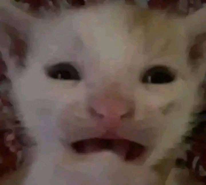 Pasaron de pelearse por un mango a pelearse por un chile. 😭
 #LaCasaDeLosFamososMx #LCDLFMX3