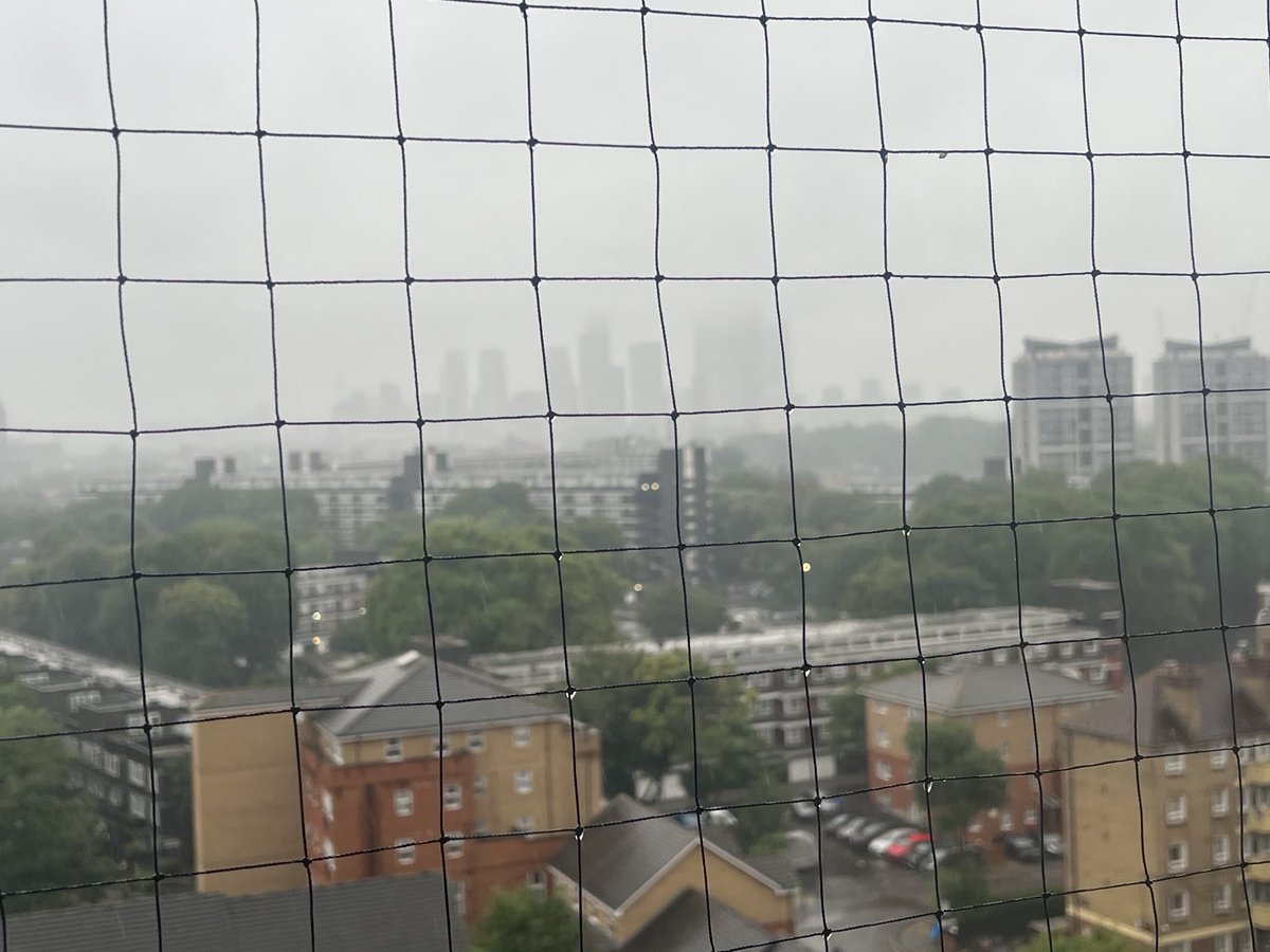 Sidney Kiran tweet media