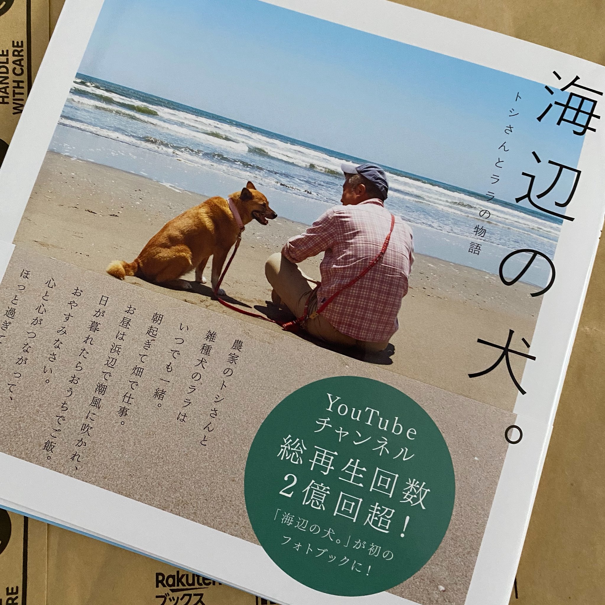 海辺の犬。トシさんとララ子の物語 海辺の犬。トシさんとララ子の物語 - メルカリ