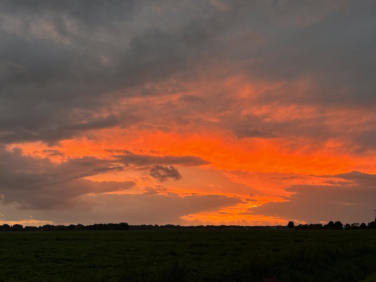 Ina Oortwijn tweet media