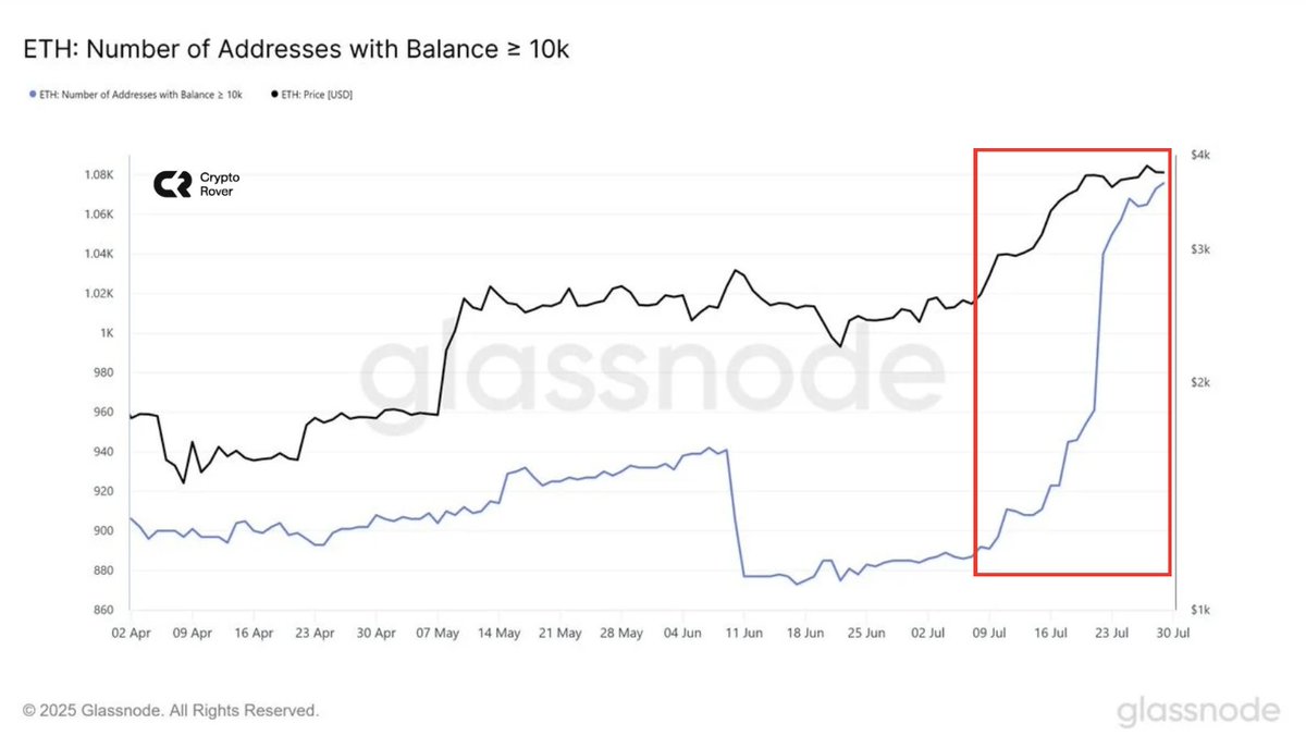 🔴CRIPTOVALUTE: "Le Balene Acquistano ETH a un Ritmo Record!"