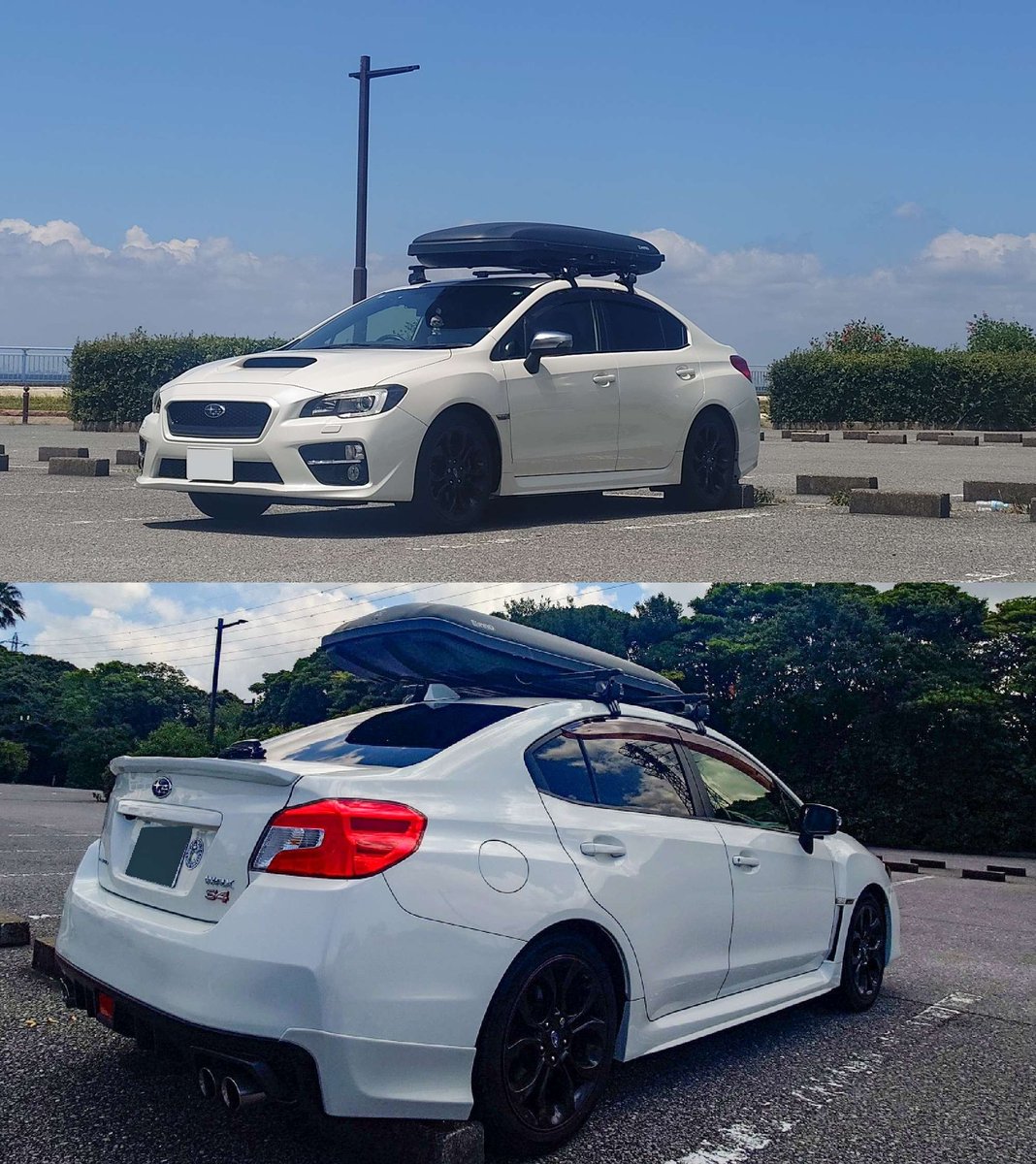 神 おちゃけちゅぱちゅぱ 猫 tweet media