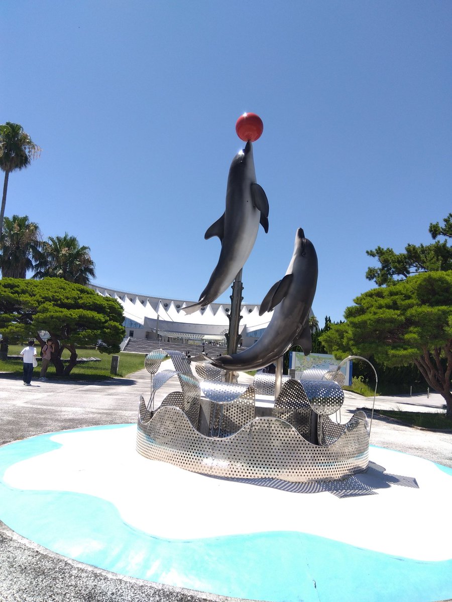 JS2NLQ's tweet image. 昨日はマリンワールド海の中道へ行ってイルカショーを見てから船で博多港へ行きました。楽しかった〜