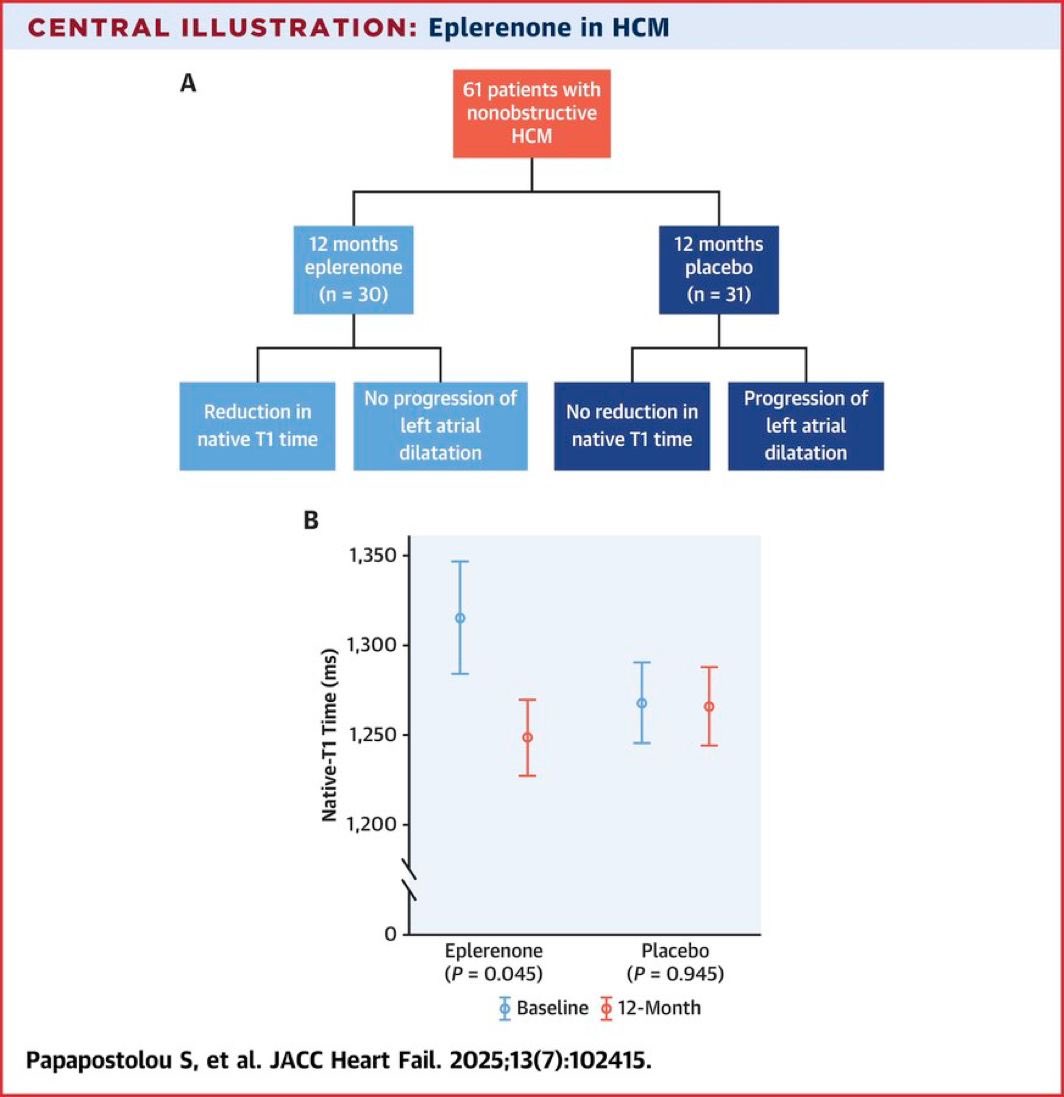 The Antifibrotic Effects of Eplerenone in Hypertrophic Cardiomyopathy: A Randomized Clinical Tria

In patients with nonobstructive HCM, there was a reduction in myocardial T1 time with eplerenone, consistent with a reduction in diffuse myocardial fibrosis

jacc.org/doi/10.1016/j.…
