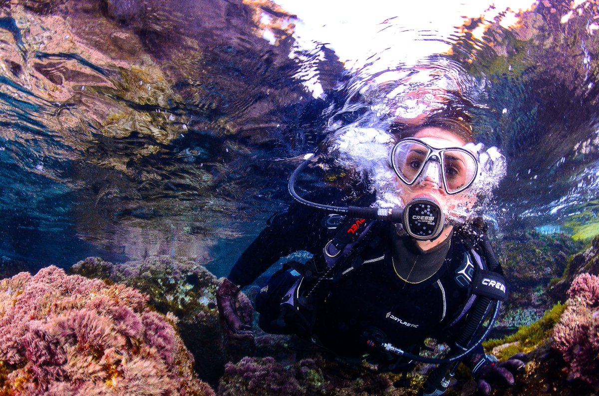 En la Región de Murcia, el Mediterráneo deslumbra ✨ con tesoros que merece la pena descubrir: 2️⃣ reservas marinas y mil formas de perderse bajo el azul del mar 🌊.
🐠 Cabo de Palos-Islas Hormigas, con fondos que hipnotizan y una vida marina a lo grande.
🌅 Cabo Tiñoso, salvaje y