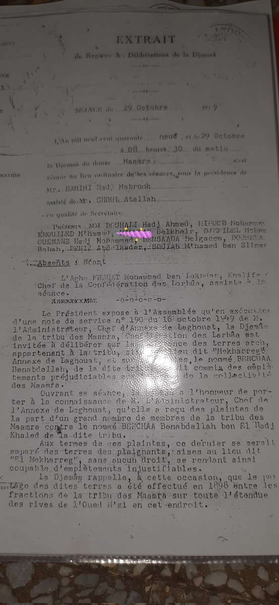 فريحـــة محمد العلمي 🇩🇿👑🇩🇿 tweet media