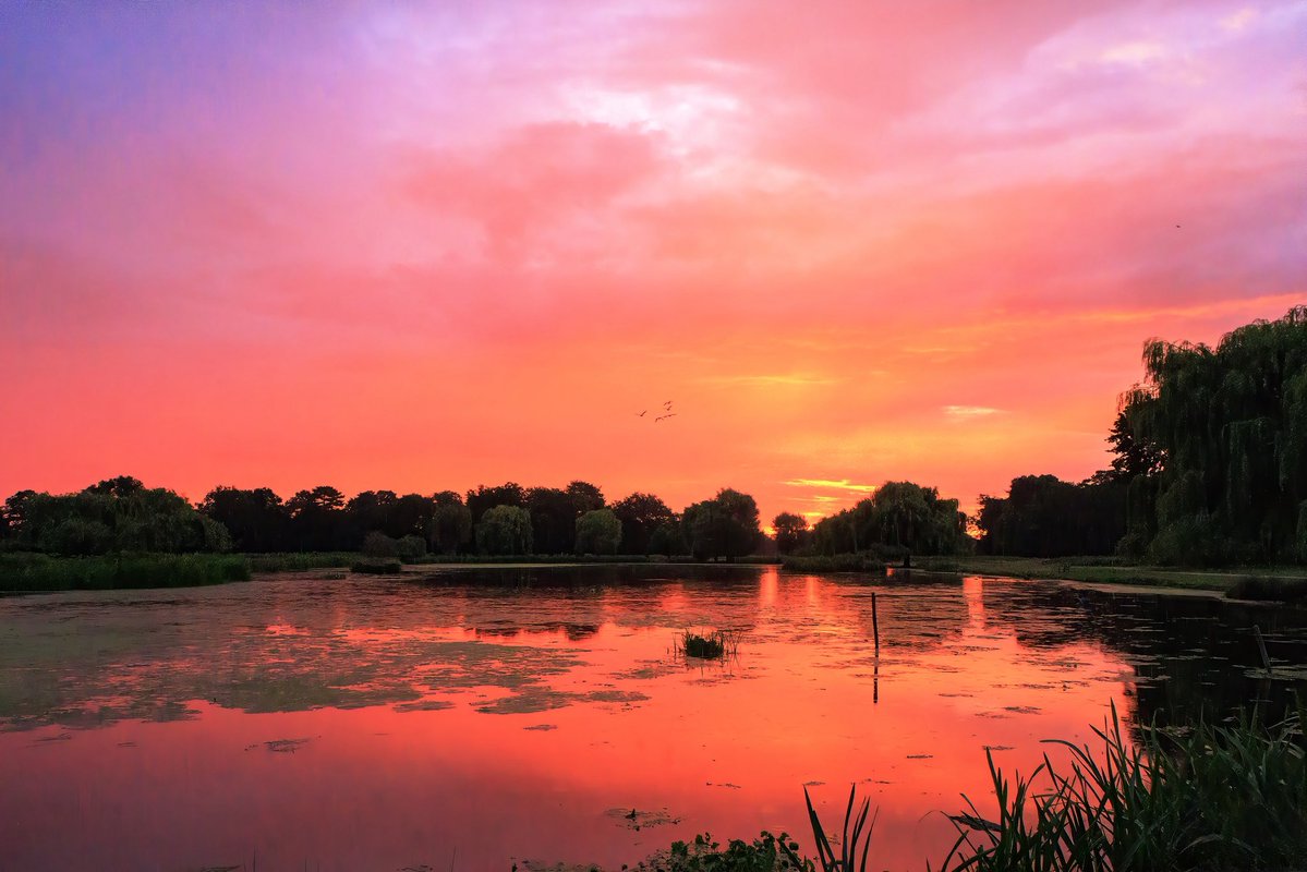 Sue Lindenberg (@patlinberg) on Twitter photo Spectacular sunrise, in the rain, from my bench π - so worth getting wet - seeing July out with a bang! #BushyPark 31.07.25 <a href="/theroyalparks/">The Royal Parks</a> <a href="/TWmagazines/">TW Magazines</a> <a href="/TLTeddington/">TL Teddington π</a> <a href="/Teddington_Town/">Teddington_Town</a> <a href="/TeddingtonNub/">Teddington Nub News</a> <a href="/Visit_Richmond1/">VisitRichmond</a> <a href="/metoffice/">Met Office</a> #loveukweather <a href="/SurreyLife/">Surrey Life</a> Spectacular sunrise, in the rain, from my bench π - so worth getting wet - seeing July out with a bang! #BushyPark 31.07.25 <a href="/theroyalparks/">The Royal Parks</a> <a href="/TWmagazines/">TW Magazines</a> <a href="/TLTeddington/">TL Teddington π</a> <a href="/Teddington_Town/">Teddington_Town</a> <a href="/TeddingtonNub/">Teddington Nub News</a> <a href="/Visit_Richmond1/">VisitRichmond</a> <a href="/metoffice/">Met Office</a> #loveukweather <a href="/SurreyLife/">Surrey Life</a>