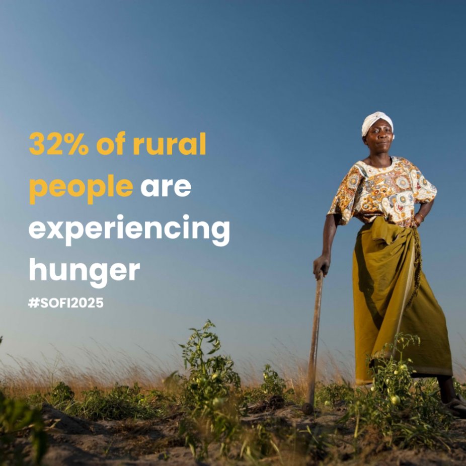 Rural communities – the backbones of our food systems – are going hungry.

32% of rural people are food insecure, compared to 23.9% in urban areas.

Urgent, rural-focused action is needed to save lives, build resilience &amp; secure the future.
#SOFI2025 #HungryforAction
