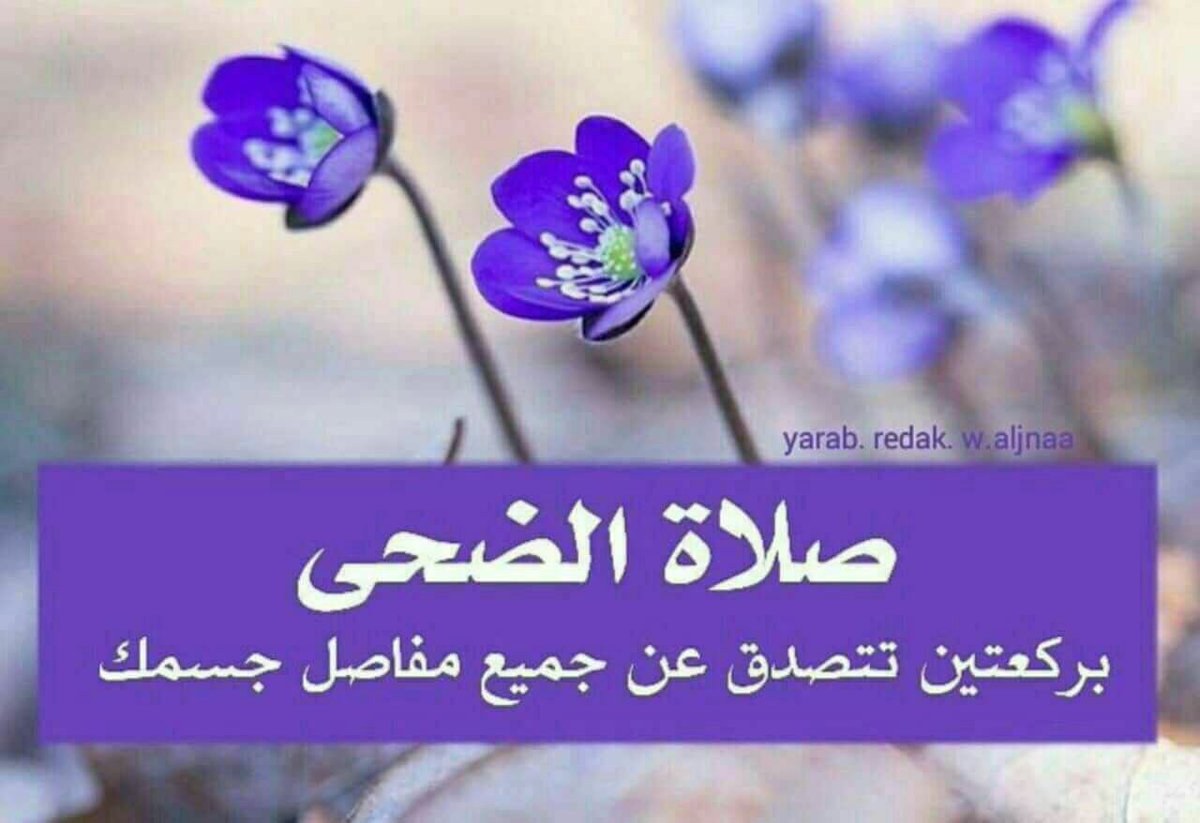 إن الدعاء يُغالب الأقدار .. فإياك واليأس.