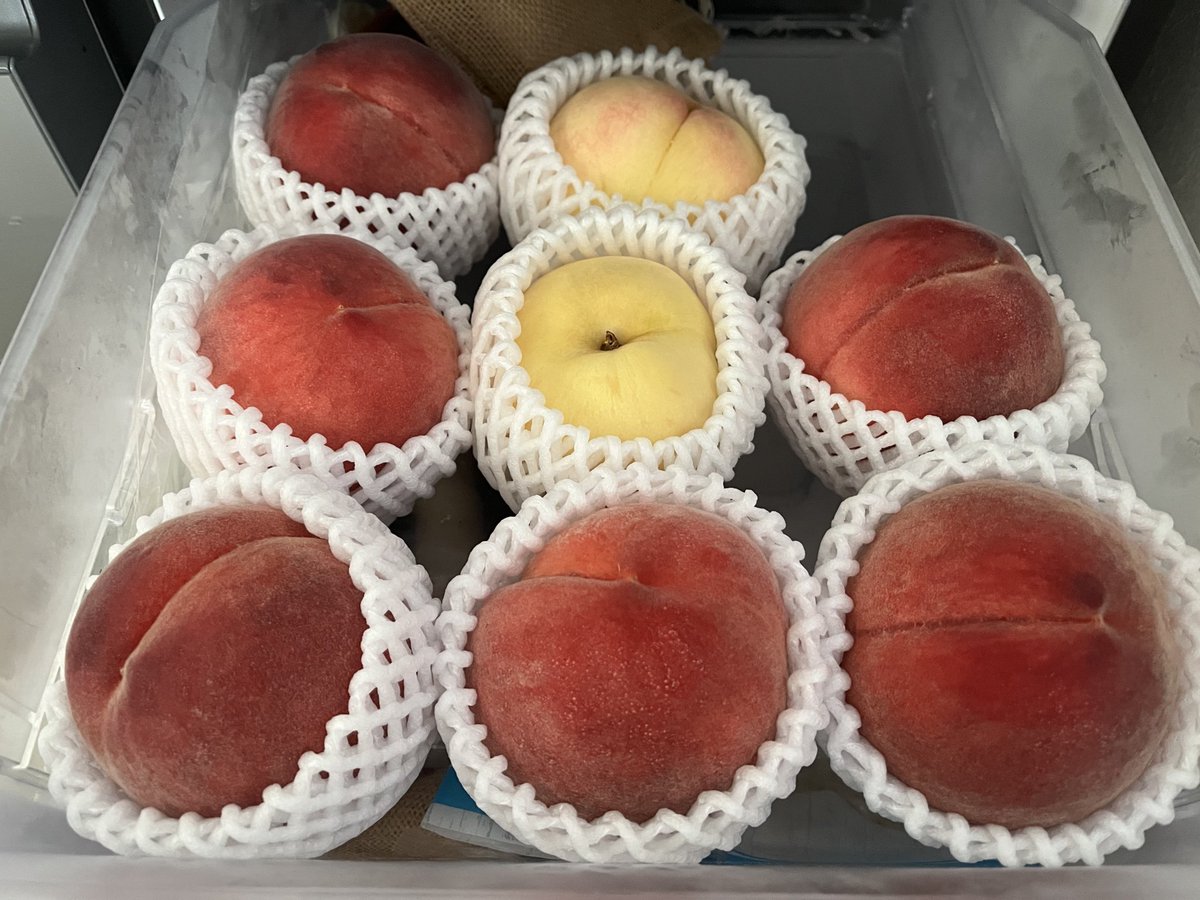 冷蔵庫が幸せな空間になっている。
ふるさと納税万歳🙌