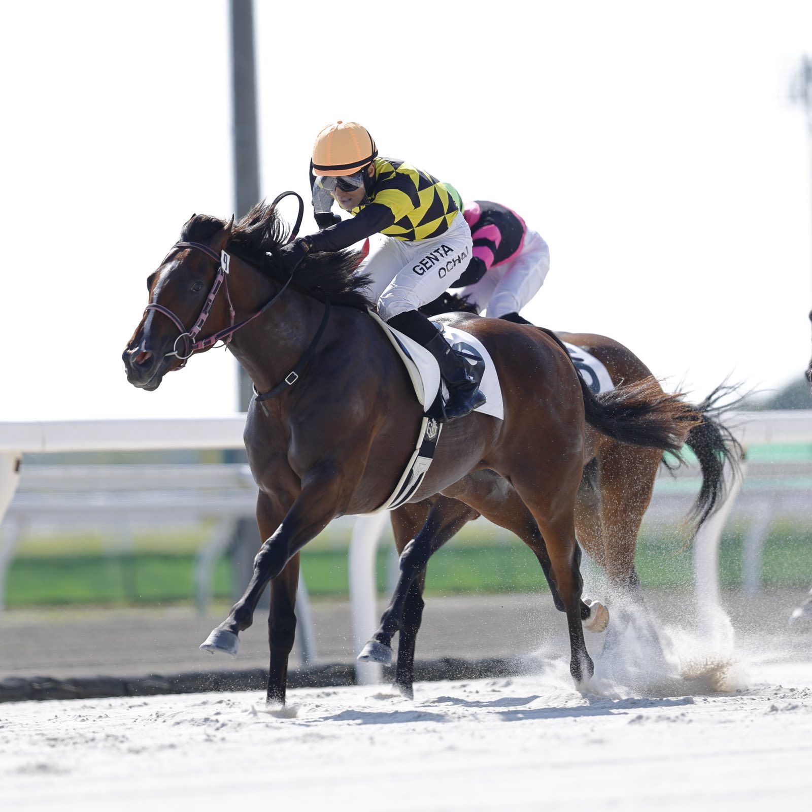 楽天競馬🐎｜楽天ポイント貯まる・使える！ on X: 