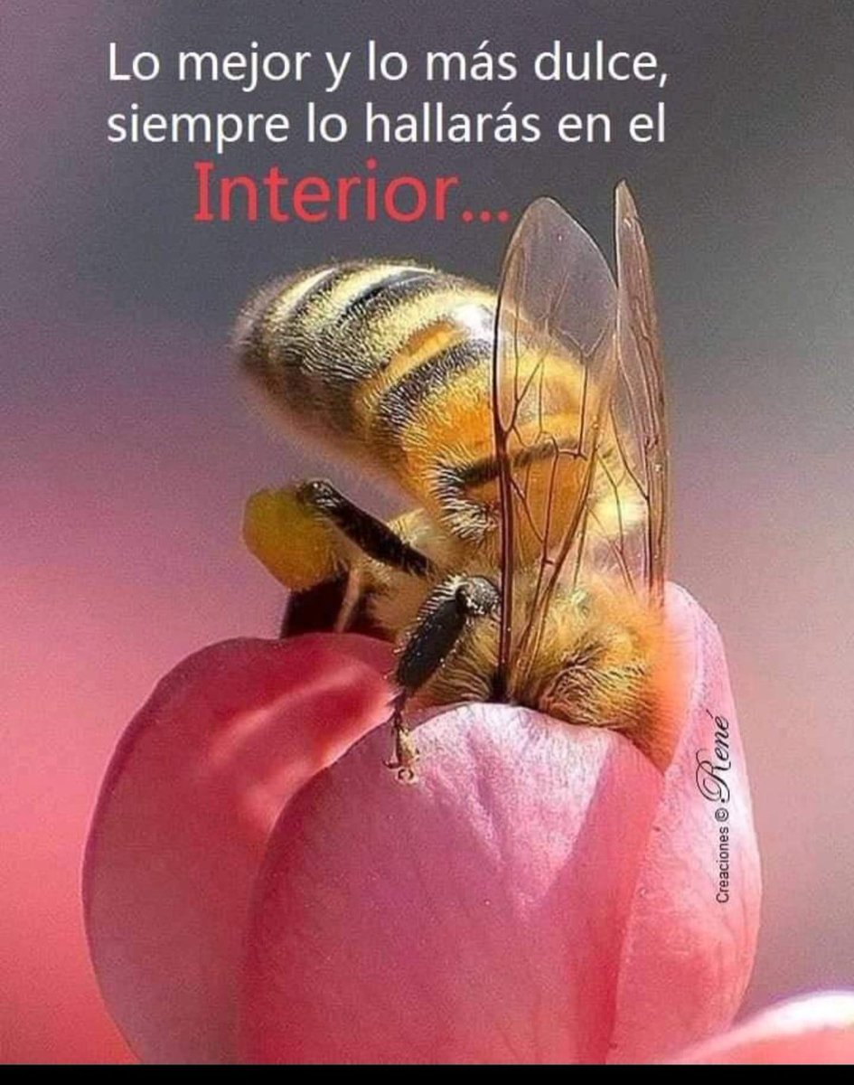 #BuenosDías