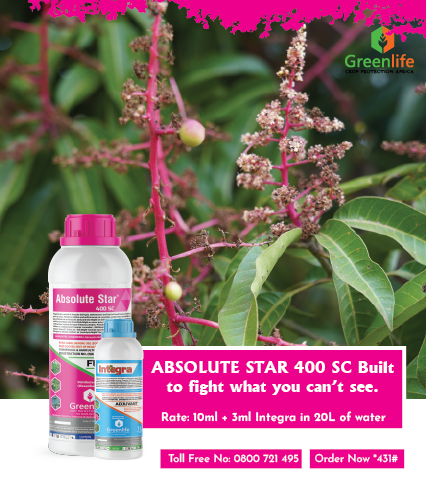 Your mangoes and avocados aren’t just dropping fruit for no reason. Anthracnose is silently attacking the flowers and young fruits, making them fall off before they even get a chance to grow. And when powdery mildew joins in, the damage spreads even faster weakening your crop
