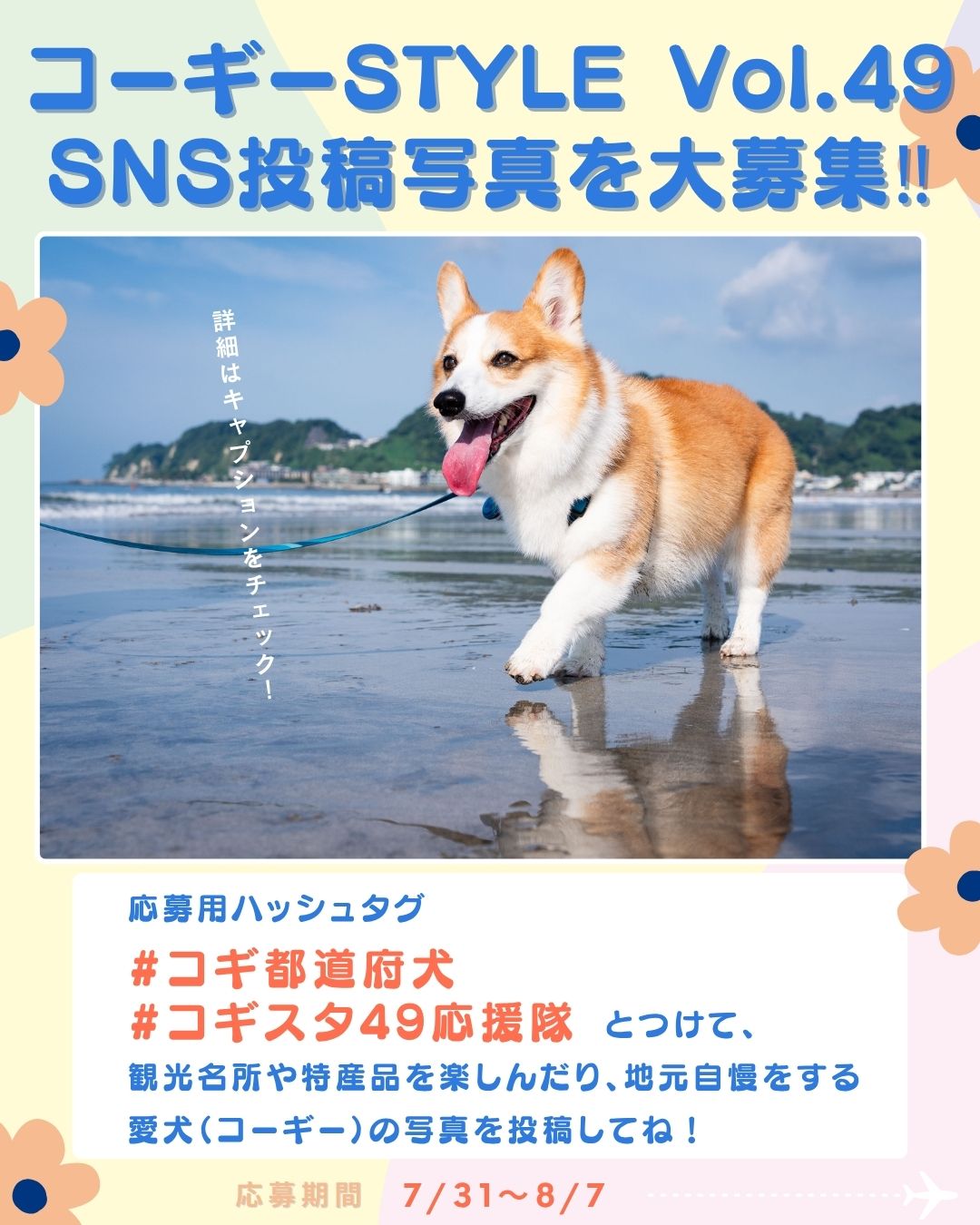 コーギースタイル コーギースタイル【公式】 on X: 