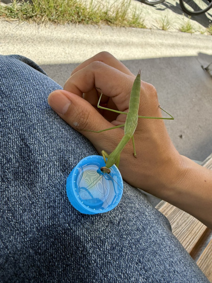 船橋開催4日目です🐴

本日は二頭出走します。

4R ラスジャン号
8R マディソン号

応援よろしくお願いします✨

今日は厩舎にいたカマキリとお散歩しました
厩舎のハエを4匹捕らえてくれました🥰
その後は一緒に水分補給していました🥤