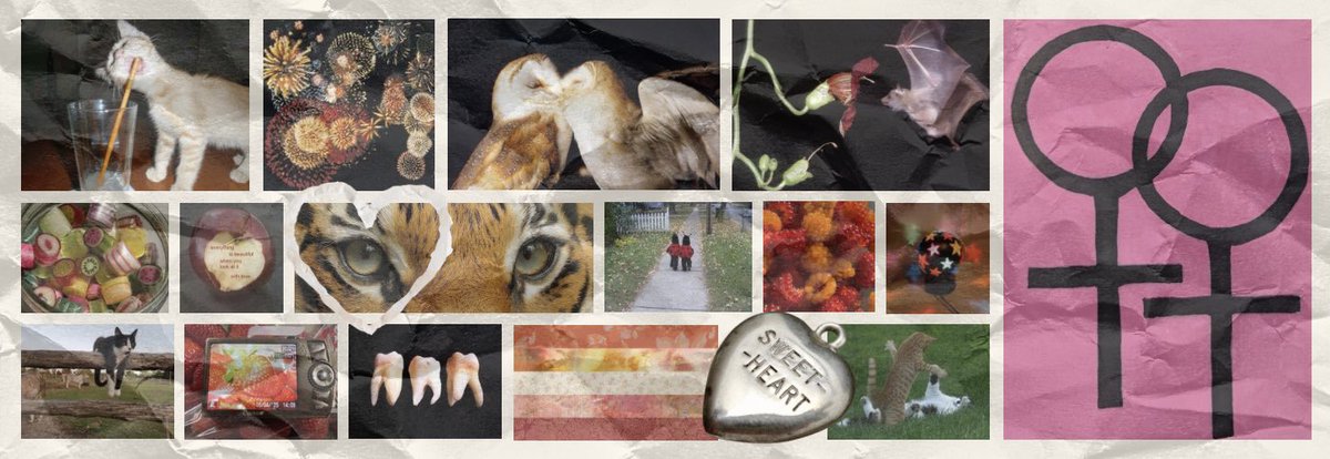 sol 🐞 tweet media