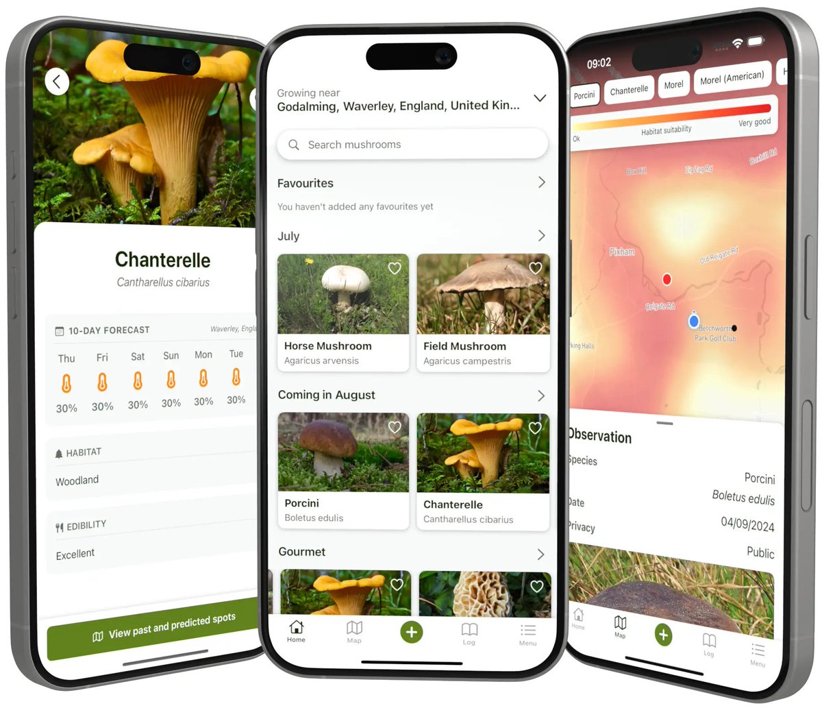 Nick Convery tweet media