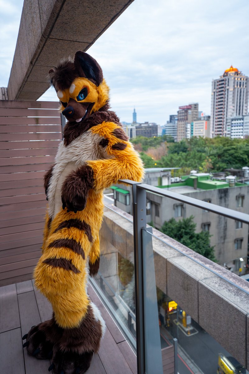 👀😏👀
#FursuitFriday 
#fursuitfriday