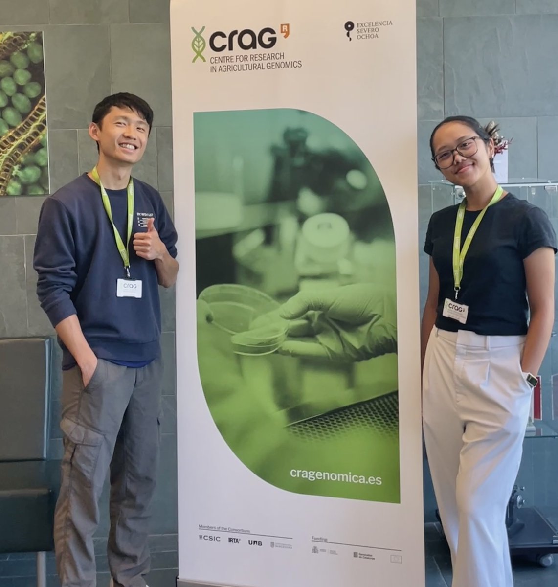 CRAG (@cragenomica) on Twitter photo We are happy to have Fredrika Celine and Zong-Han Shie, students from the National Taiwan University (<a href="/NTU_TW/">NTU Taiwan</a>) who are spending a stay at CRAG, in the laboratories of Jae-Seong Yang and <a href="/Ana_CanoDelgado/">Ana I. Caño-Delgado</a>
We hope they are learning a lot and enjoying their time here 🌏🎓🤝 We are happy to have Fredrika Celine and Zong-Han Shie, students from the National Taiwan University (<a href="/NTU_TW/">NTU Taiwan</a>) who are spending a stay at CRAG, in the laboratories of Jae-Seong Yang and <a href="/Ana_CanoDelgado/">Ana I. Caño-Delgado</a>
We hope they are learning a lot and enjoying their time here 🌏🎓🤝