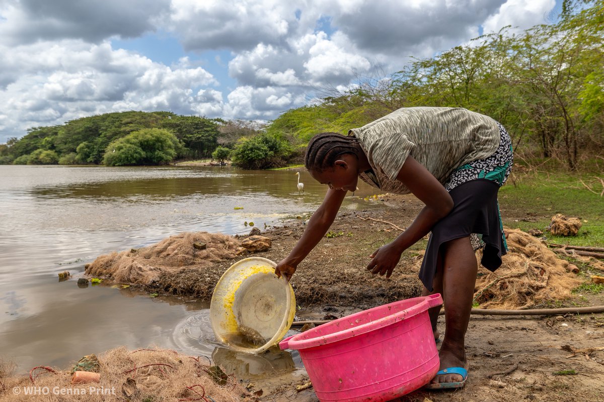 Cholera is an acute diarrhoeal infection caused by ingesting contaminated food or water.

Know the signs: sudden diarrhoea, vomiting, weakness.
Act quickly. Seek care immediately.
Rehydration can save lives. Report to the nearest health facility at the first symptoms.

Learn