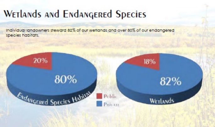 The federal government's endangered species recovery rate after 50 years and billions spent? Just 3%.

Meanwhile, private landowners manage 80% of endangered species habitat and wetlands—with better results. 

Maybe it’s time we rethink who’s leading the charge on conservation.